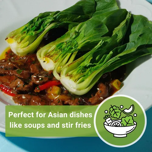Miniatura 6 de Sow Right Seeds - Semillas Yu Choy Sum para plantar - Variedad única de repollo chino - Vegetal asiático - Fácil de cultivar - Verdes tradicionales