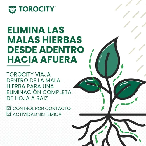 Miniatura 5 de Atticus Torocity Herbicida (8oz) - (Comparar con Tenacity) - Concentrado de Mesotriona - Herbicida Selectivo para Céspedes y Pastos - Control Pre