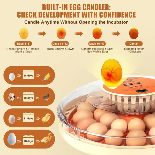 Miniatura 3 de Gen IV - Incubadora de 30 huevos, humedad de amplio rango con llenado manual de agua, control de temperatura estable, ranuras para huevos de doble