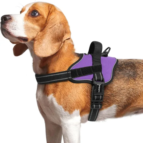 Miniatura 15 de rabbitgoo Arnés para perro de tamaño pequeño, chaleco para mascotas sin tirones, sin estrangulamiento, fácil de llevar con una hebilla, reflectante