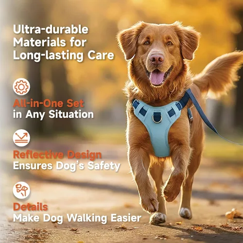 Miniatura 3 de Arnés para Perro Sin Tirones, Juego de Correa y Collar, Chaleco Suave y Ajustable para Perros, Reflectante y con Mango Cómodo Azul, Talla Pequeña