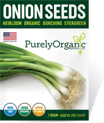 Semillas de cebolla orgánicas (brotes de hoja perenne) – Aproximadamente 200 semillas – USDA orgánico, sin OMG, polinizado abierto, reliquia, origen