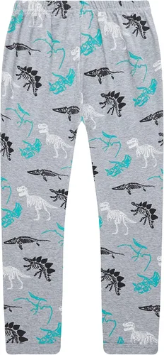 Miniatura 7 de Golduck Conjunto de pantalones de algodón de dinosaurio para niños con estampado completo