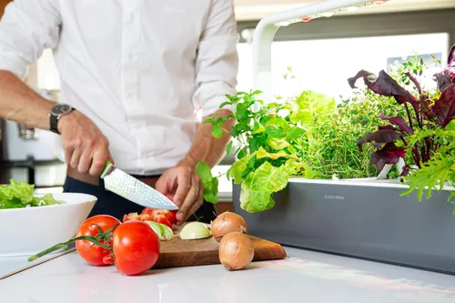 Miniatura 2 de Click and Grow Smart Garden 9 - Jardín para interiores (incluye 3 macetas de mini tomates, 3 de albahaca y 3 de lechuga verde), color gris