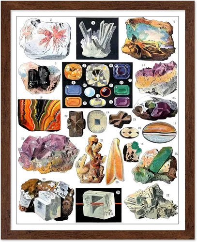Miniatura 46 de Poster Master Póster vintage de miel, impresión retro de La Vie De L'Abeille, arte de panal de abeja, arte de pared de abeja, regalo para hombres