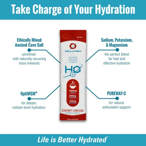 Miniatura 3 de H2O Electrolytes - Mezcla de bebida en polvo de electrolitos, cero azúcar, paquetes de hidratación de sal natural para recuperación y bienestar