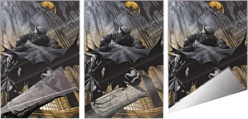 Miniatura 3 de Batman - Póster de DC Comics (El caballero oscuro agachado en gárgola) (tamaño: 24 x 36 pulgadas) (póster laminado)