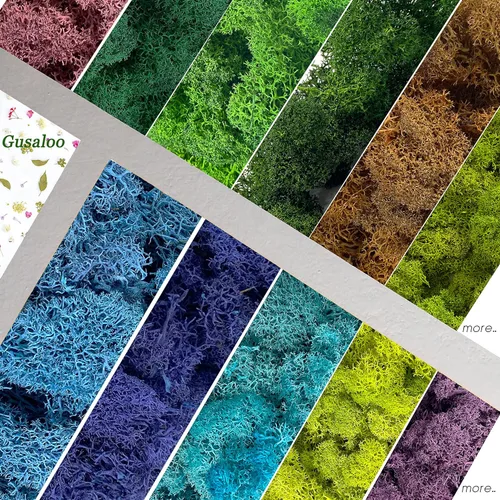 Miniatura 7 de Musgo artificial preservado de 1.1 libras para plantas en maceta, musgo verde fresco natural para manualidades, musgo artificial, orquídea floral