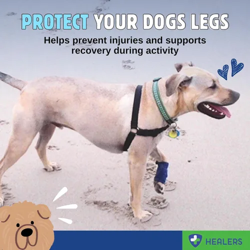 Miniatura 2 de Healers PetCare - Vendajes ajustables para perros con insertos de gasa, envoltura elástica transpirable para cuidado de heridas y apoyo articular