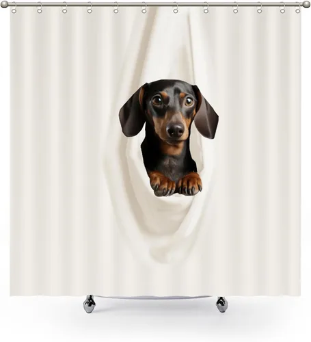 Miniatura 2 de Cortinas de ducha clásicas divertidas – Dachshund descansando en tela blanca colgada de poliéster tela de poliéster decoración de baño con ganchos