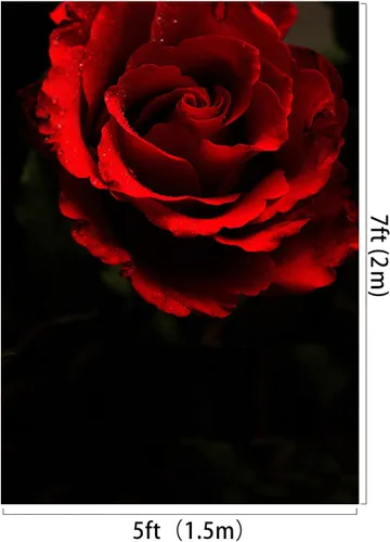 Miniatura 2 de Telón de fondo de fotografía negro rosa roja de 5 x 7 pies para retrato abstracto, sesión de fotos negra, fondo de fotos para adultos, retrato