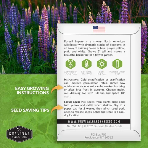 Miniatura 2 de Survival Garden Seeds - Semilla de altramuz Russell para plantar - Paquete con instrucciones para plantar y cultivar flores silvestres al aire libre