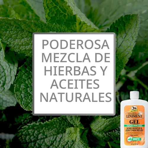 Miniatura 3 de Absorbine Gel de linimento veterinario, ungüento analgésico tópico de mentol para músculos adoloridos, dolor de articulaciones y artritis, paquete
