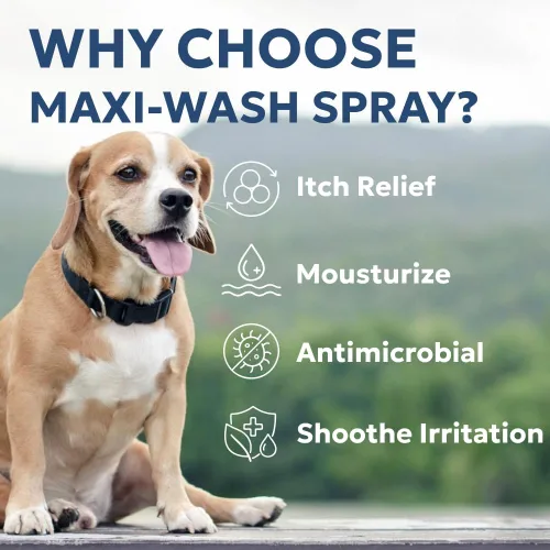 Miniatura 4 de Forticept Maxi-Wash - Spray para tratamiento de puntos calientes, cuidado de heridas y alivio de picazón para perros y gatos. Alivia arañazos