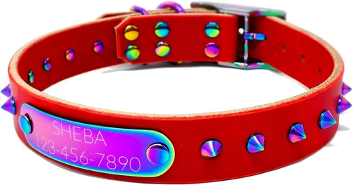 Miniatura 13 de Collar de perro de cuero con brida hecha a mano, grabado arco iris de acero inoxidable (negro)