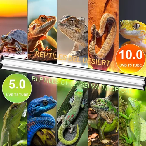 Miniatura 8 de Lámpara de reptil UVB T5 10.0 de 8 W de 12 pulgadas, luz UVA UVB de alto rendimiento para dragones barbudos, tortugas y serpientes, lámpara UVB