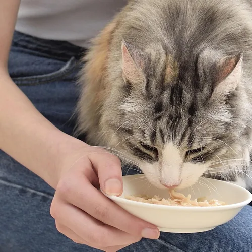 Miniatura 4 de INABA Caldo de pollo, guarnición/adorno para gatos con vitamina E, bolsa de 1.76 onzas, 8 bolsas en total, receta de pollo y salmón