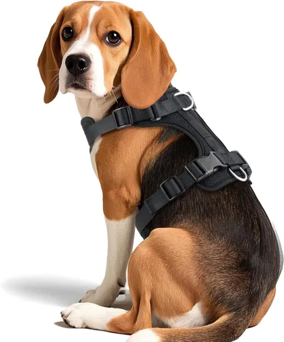 Wisedog Arnés para perro de tamaño mediano, chaleco para mascotas con clip frontal, arnés ajustable para cachorro con 3 hebillas de liberación