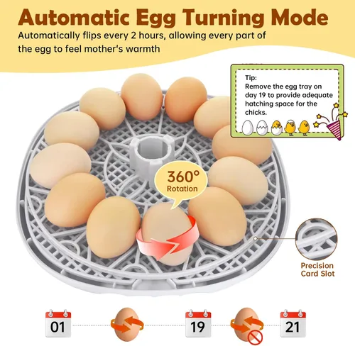 Miniatura 3 de Incubadora de huevos para incubar pollitos, girador automático de huevos con capacidad para 12 huevos, incubadora inteligente con ventana