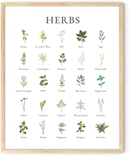 Miniatura 9 de HAUS AND HUES Imágenes de hierbas para arte de pared de cocina, impresiones botánicas y collage de hierbas para decoración de núcleo de cabaña Marco