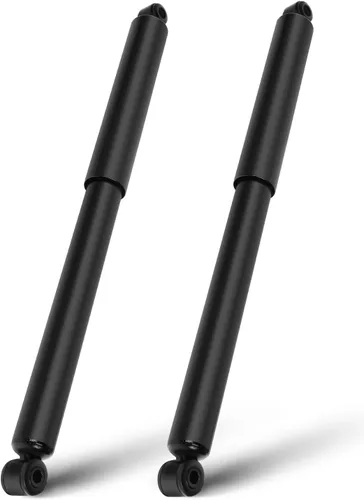 SCITOO - Amortiguador trasero para Ford se adapta a 1990 1991 1992 1993 1994 1995 1996 para Ford para amortiguadores F-150 344079 Struts - Juego de