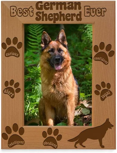 KATE POSH Marco de fotos Best German Shepherd Ever, regalos para amantes de los perros, regalos para cachorros, regalos conmemorativos, marco de