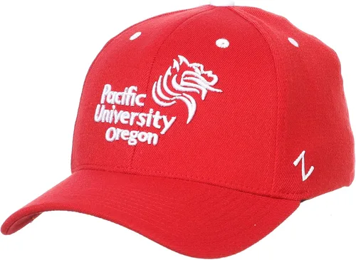 Miniatura 44 de ZHATS - Sombrero ajustado elástico para hombre de la NCAA, color del