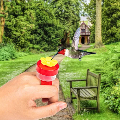 Miniatura 5 de Comederos de Anillo para Colibríes de Mano, 4 Piezas Mini Comedero de Mano para Colibríes con 4 Piezas Cepillo de Limpieza, Comederos de Pájaros