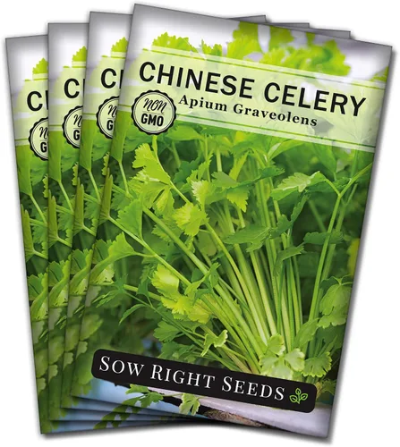 Miniatura 9 de Sow Right Seeds - Semillas de apio chino para plantar - Paquete de semillas autóctonas sin OMG con instrucciones para plantar y cultivar un jardín