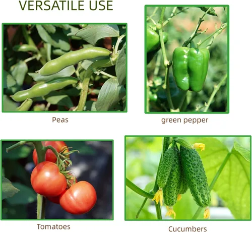 Miniatura 7 de ARIFARO Enrejado de metal de 24 pulgadas para plantas trepadoras, paquete de 4 enrejados para plantas en maceta, enrejado negro para interiores