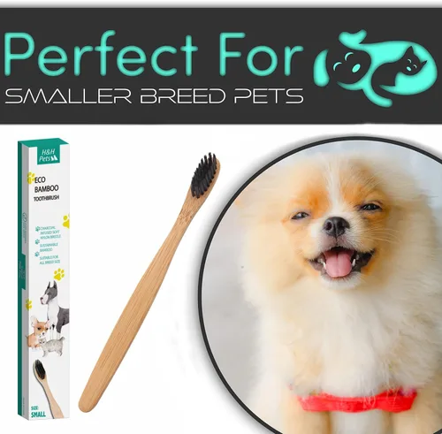 Miniatura 4 de H&H Pets Juego de cepillos de dientes de bambú para perros y gatos, cerdas suaves y cepillo de dientes de madera biodegradable, suministros