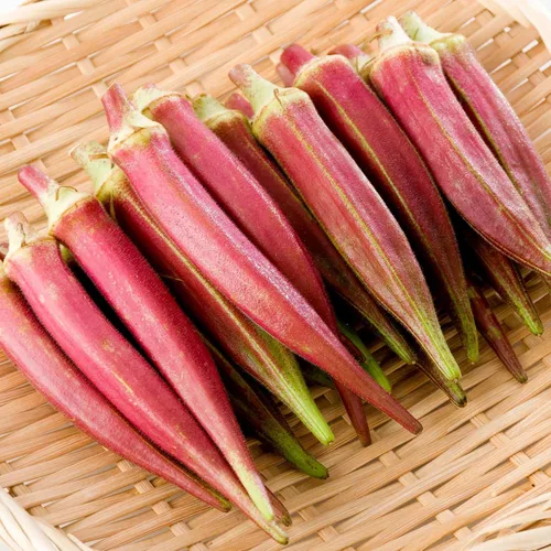Miniatura 4 de Eden Brothers Semillas Okra Seeds Star of David sin OMG para plantar, 1 onza Semillas vegetales de bajo mantenimiento, plantas durante