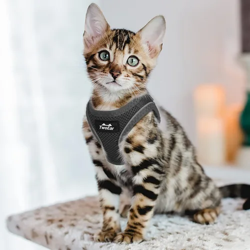 Miniatura 6 de TwoEar Arnés de gato a prueba de escape, suave chaleco ajustable para perro, de malla transpirable, chaqueta reflectante de fácil control para Negro