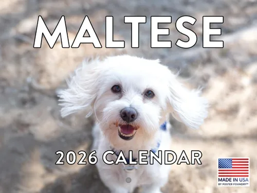 Miniatura 214 de Calendario de pared mensual 2025 Great Dane de 12 meses, fabricado en Estados Unidos