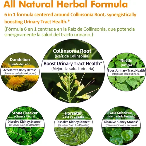 Miniatura 4 de Collinsonia (raíz de piedra) Gotas para la salud del tracto urinario, suplemento de fórmula herbaria natural con rompepiedras extracto de piedra