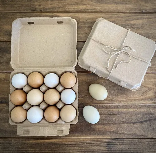 "Cartones de huevos vintage para 12 huevos grandes, diseño clásico de 3 x 4, cartón reciclado duradero, estilo granja, embalaje ecológico, paquete