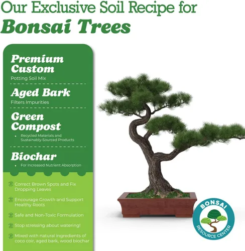 Miniatura 2 de Suelo de bonsái 100% orgánico – Mezcla para macetas totalmente natural y bien drenante para bonsáis saludables, suculentas, cactus y kokedama