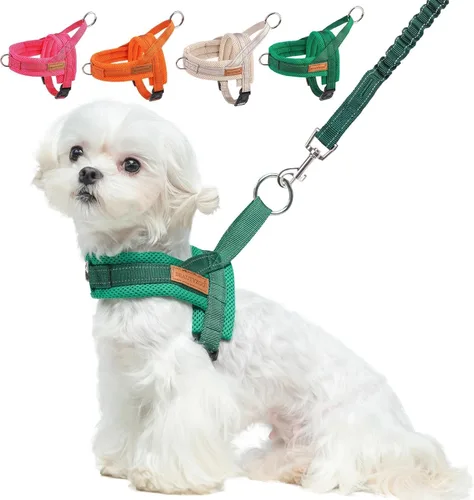 Miniatura 33 de BEAUTYZOO Arnés para Perros Pequeños, Juego de Arnés y Correa sin Tirones, Arnés de Chaleco para Cachorros Suave a Prueba de Escapes con Manija