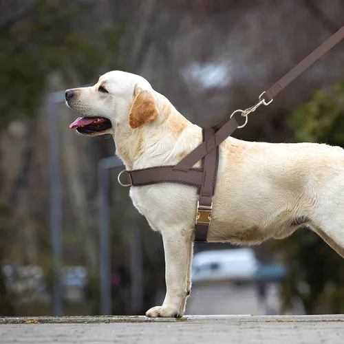 Miniatura 3 de PET ARTIST Arnés para perro sin tirones, suave acolchado de piel sintética con hebilla de metal de liberación rápida, correa ajustable de ajuste