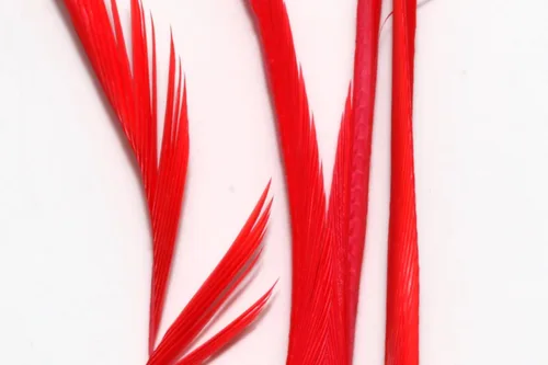 Miniatura 4 de Hareline Fly Tying Stripped Goose Biots – Natural Goose Biots for Fly Tying Nymph Bodies, Tails & Wings
