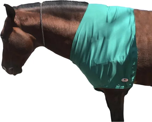 Miniatura 9 de Majestic Ally Protector de hombro de caballo de elastano/elastano elástico en 4 direcciones para y protección, grande, color negro