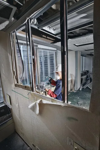 Miniatura 5 de BOSCH RDN9V - Hojas de sierra recíproca con borde TPI de 9 pulgadas y 5/8 para demolición de madera/uñas