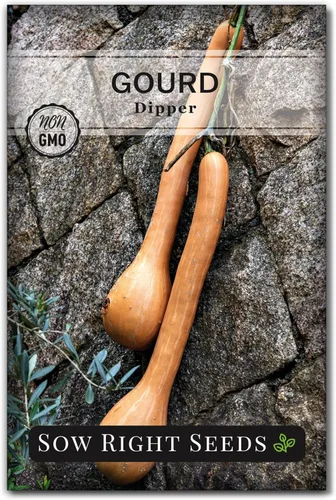 Sow Right Seeds - Semillas de calabaza Dipper para plantar - Paquete de reliquia sin OMG con instrucciones para plantar y cultivar un huerto
