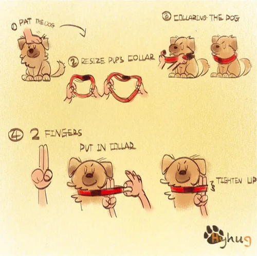 Miniatura 3 de Hyhug Pets - Collar clásico para perros de la colección regular de color sólido (S, negro)