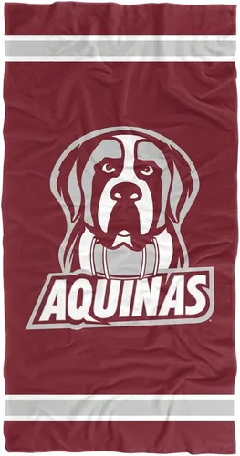 Miniatura 160 de LOGOVISION Manta Abilene Christian University, 30 x 60 pulgadas, logotipo primario CottonFront/PolyBackBeachTowel