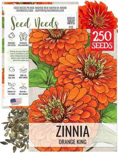Miniatura 18 de Seed Needs California Giants - Semillas de zinnia – 250 semillas tradicionales para plantar Zinnia elegans – Cultiva flores anuales polinizadas