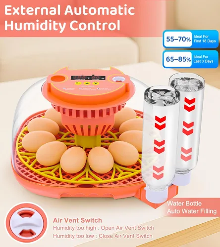 Miniatura 4 de Incubadora de 12 huevos para incubar huevos, control inteligente de temperatura y humedad, giro automático de huevos, incubadora para incubar pollo