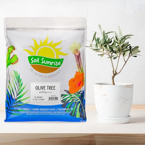 Miniatura 2 de Soil Sunrise Mezcla de tierra para macetas de olivo (12 cuartos de galón) para plantar, trasplantar y cultivar arbustos/plantas de olivo