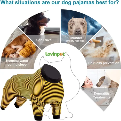 Miniatura 4 de LovinPet - Pijama y camiseta de algodón puro para perros gigantes, diseño a rayas de color amarillo y negro, de 4 patas, protección que cubre todo