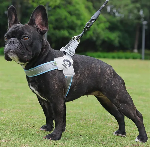 Miniatura 2 de Arnés para perro, arnés en forma de Y, transpirable, disipación de calor, fácil de usar, letreros reflectantes nocturnos para perros pequeños